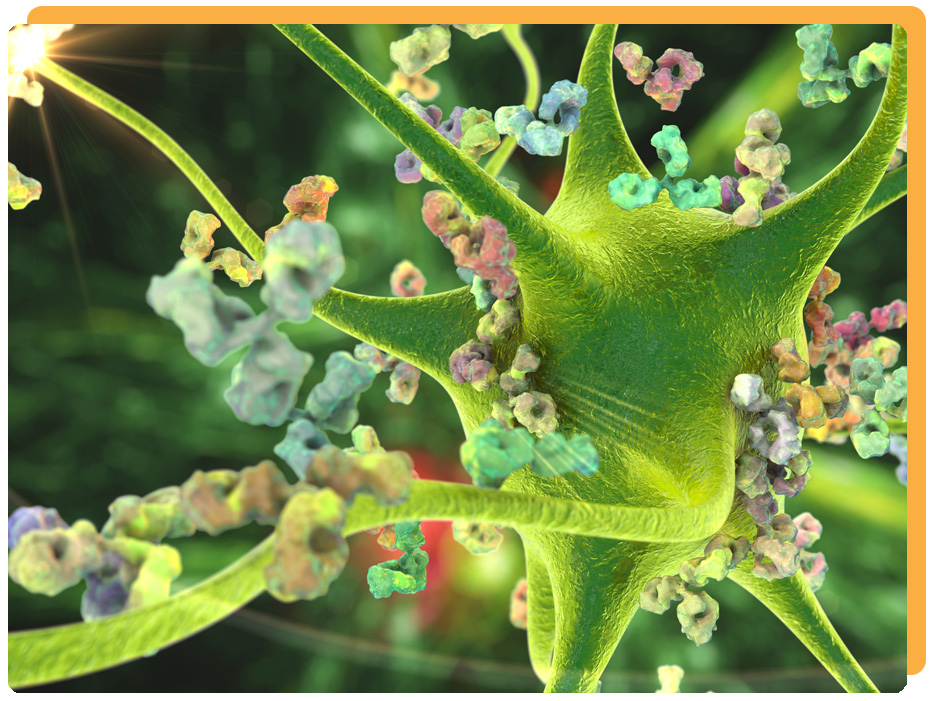 Tics in adults anti-neuronal antibody