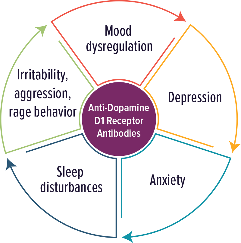 Dopamine D1 Receptor Antibodies